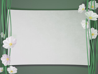 3D rendering of composition with white cosmos flowers and copy space.