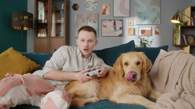 Smiling british man watching tv and play game on console sitting on sofa with dog, golden retriever pet and his owner watch sport streaming show, best friends, student live with his puppy