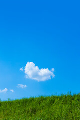 Obraz na płótnie Canvas 緑の草原と青空に雲