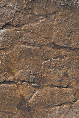 Cracked brown frozen ground texture
