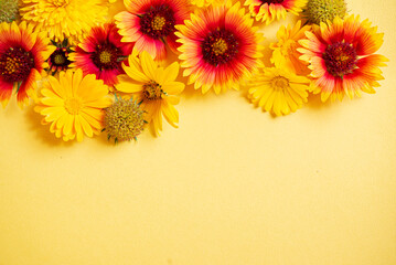 nice flowers on the yellow background