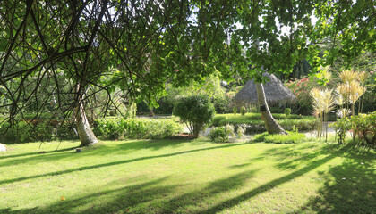 Obraz premium palm trees on a tropical island