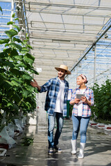 happy farmer pointing at plants in glasshouse near african american colleague with digital tablet
