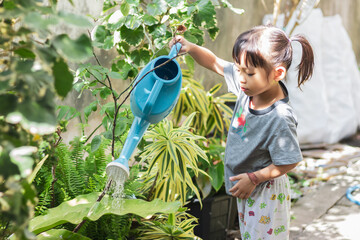 Portrait  image of 3-4 years old kid girl. Happy Asian child girl watering the green tree by water can at her backyard. Gardening in summer or spring season. Activity of children. Learning concept.