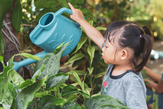 Portrait  Image Of 3-4 Years Old Kid Girl. Happy Asian Child Girl Watering The Green Tree By Water Can At Her Backyard. Gardening In Summer Or Spring Season. Activity Of Children. Learning Concept.