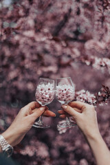 Beautiful hands with manicure hold glasses with sakura flowers on the background of a blossoming...