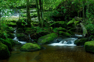 Naklejka premium Waterfall in deep forest at Thailand.