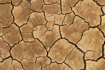 Texture of grungy dry cracking parched earth. Cracked soil. Concept of drought