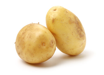 potato on a white background