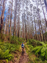 Fototapeta premium Lake Mountain Bike Park in Australia
