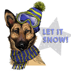 Hand drawn portrait of german shepherd dog wearing hat, goggles and scarf. Vector Christmas illustration. Colored puppy. Xmas, New Year. Greeting card, party flyer, invitation banner. Winter holiday. - 430394048
