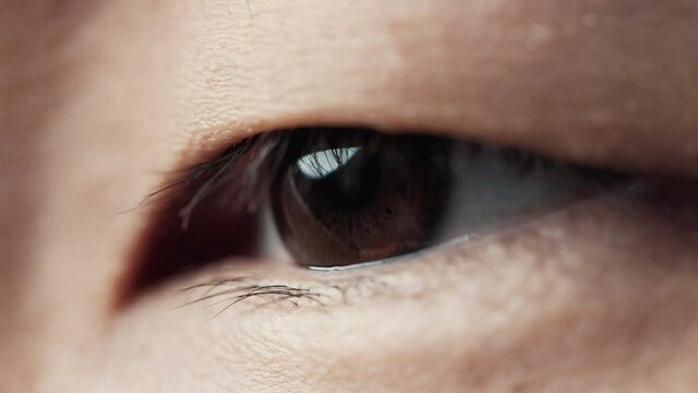 Eye Human with Beautiful Brown Iris Macro Shot. Bright Beauty Male Open Eyes with Pupil Dilation. Extreme Close-up Asian Guy Clear Looking Forward. Contracting Eye Iris on Light. View Concept 4k