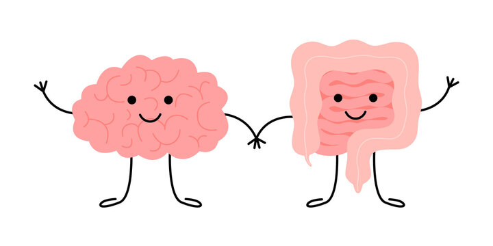 Connection of cute healthy happy brain and intestine gut characters. Relation health of human brain and gut, second brain. Unity of mental and digestive. Vector flat cartoon illustration