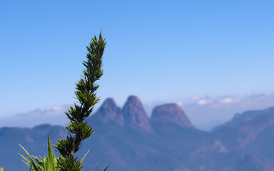 Pico do Caledônia