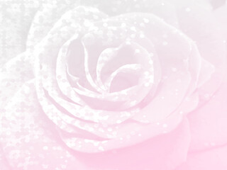 Floral background in the form of an abstract image of a pink rose.