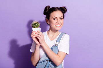 Photo of adorable satisfied girl arms hold demonstrate little cactus toothy smile isolated on...