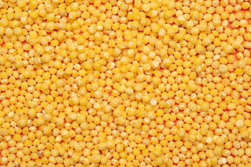 scattered millet on an orange background. abstract spring background.