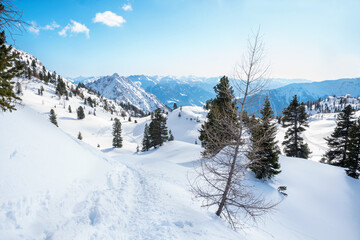 Fototapeta na wymiar winter landscape rofan alps Tirol