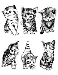 Vector set of domestic cats on white isolated , pets in graphical style