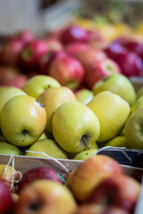 Pommes vertes et jaune en vente dans un magasin de producteur, vente en direct