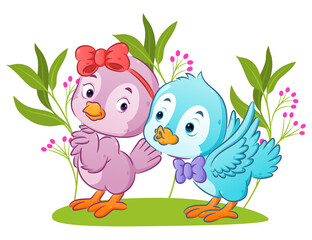 The couple bird using a ribbon and tie are dating in the park with flowers ornament