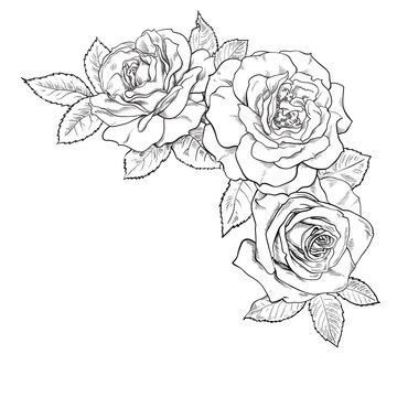 Black and white bouquet of roses. Decorative hand drawn corner element for tattoo, greeting card, wedding invitation. Vector illustration.