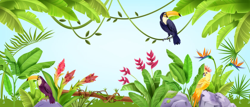 Fototapeta Summer jungle frame, tropical nature bird background, parrot, toucan, banana and palm leaves, liana. Paradise wildlife Hawaii exotic illustration, Amazon environment landscape. Jungle frame with stone