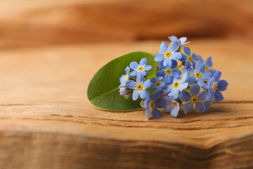 Beautiful blue forget-me-not flowers on wooden table, closeup. Space for text