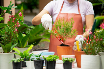 Close up on hands woman in glove  planting in garden at home