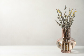 Beautiful pussy willow branches in vase on white table, space for text
