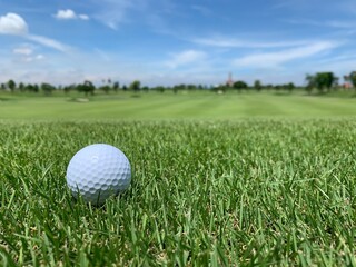 Golf ball on the green for golf course concept