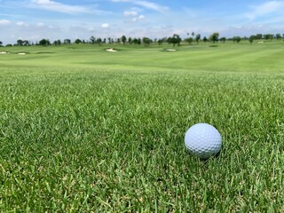 Golf ball on the green for golf course concept