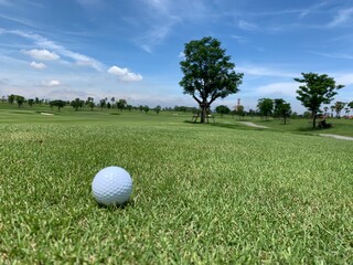Golf ball on the green for golf course concept
