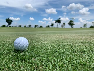 Golf ball on the green for golf course concept
