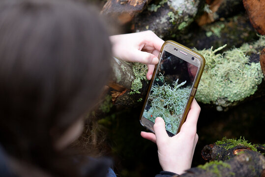 Girl using phone to take pictures of nature