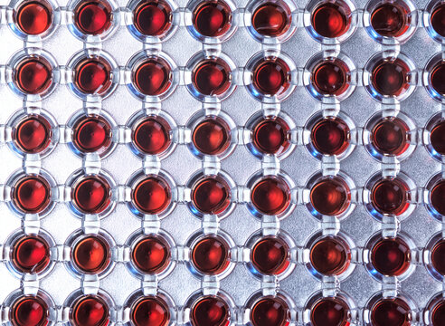Overhead view of blood samples