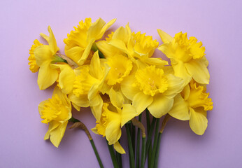Beautiful daffodil bouquet on violet background, top view