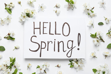 Fototapeta na wymiar Beautiful flowers and Hello Spring card on white background, flat lay