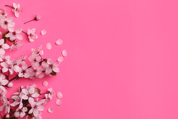 Fototapeta na wymiar Beautiful spring tree blossoms on pink background, flat lay. Space for text