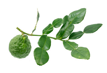 Bergamot fruit with leaf isolated on white background - obrazy, fototapety, plakaty