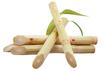 Single object of Sugar cane isolated on white background