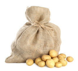 Raw fresh potatoes and sack on white background