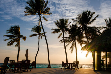 In the Maldives, the outdoor terrace of the island resort, there is a beautiful sunset with the silhouetted sea view of coconut trees