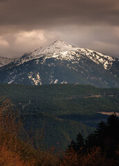 photo of the snow-capped mountain peak among the forest trees under a cloudy sky