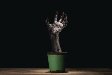 Creepy zombie hand dirty with soil rising from flower pot. Black background. Horror and Halloween theme.