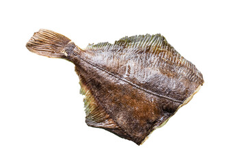 flounder raw fish fresh seafood cooking second course healthy ingredient pescetarian diet 