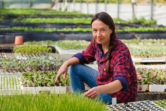 Natural female worker in nursery greenhouse on organic farm
