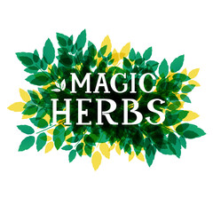 Magic Herbs. Lettering in an ecological style