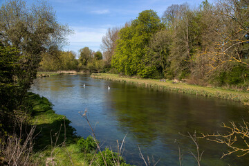 Fototapeta na wymiar Stockbridge, Hampshire, England, UK. 2021. The famous chalk stream River Test as it flows through the county of Hampshire in Southern England during springtime.