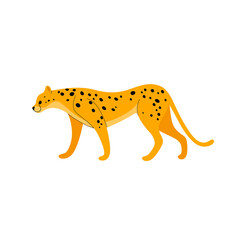 Cute cheetah - cartoon animal character. Vector illustration in flat style isolated on white background.